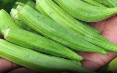 Doctors Reveal What Happens When You Eat Okra Regularly