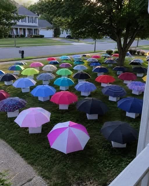 My Son Lent His Umbrella to a Pregnant Stranger—Three Days Later, Our Lawn Was Covered in Gifts