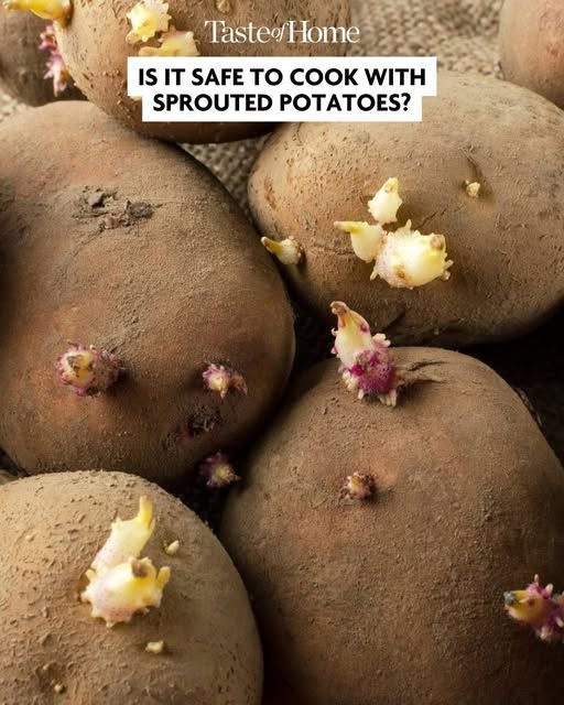 Can You Eat Sprouted Potatoes? Here’s What You Need to Know
