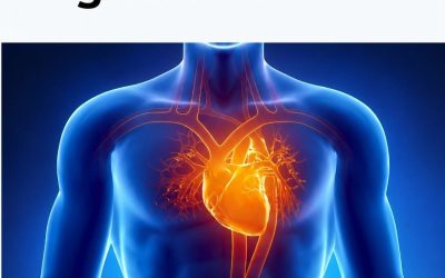 Magnesium – the essential mineral your body can’t live without