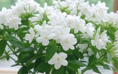 Houseplants That Will Make Your Home Smell Incredible 