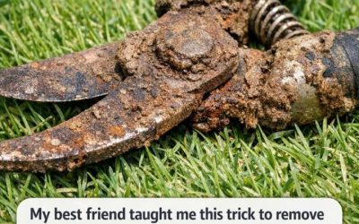 My best friend taught me this trick to remove rusted crust from metal gardening shears with 0 effort. Here’s how it works