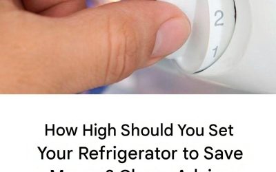 What Is the Ideal Refrigerator Temperature? How to Set It in Summer and Winter