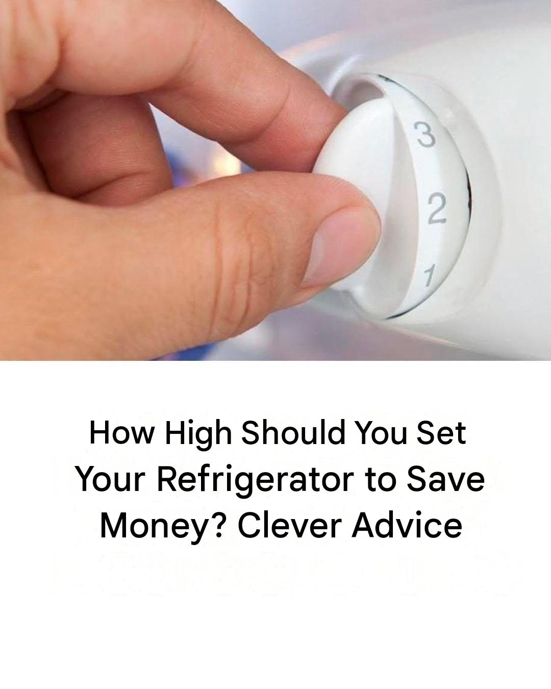 What Is the Ideal Refrigerator Temperature? How to Set It in Summer and Winter