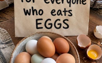 Proven Health Benefits of Eating Eggs (Evidence-Based)