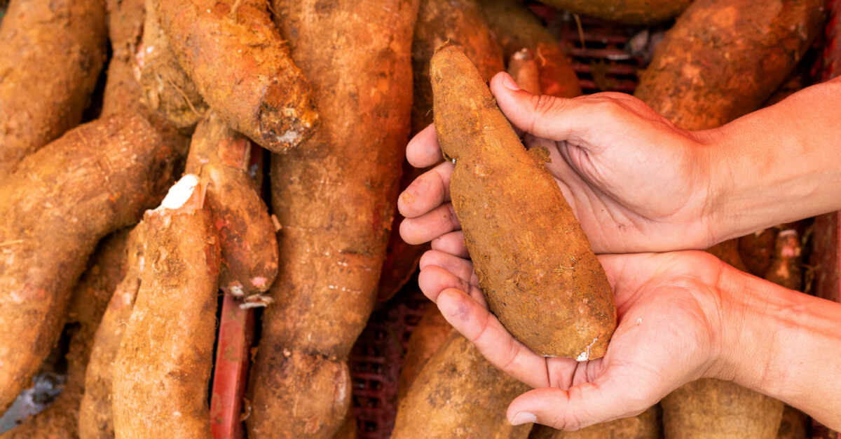 Over 200 people die every year from the “world’s deadliest food,” yet nearly 500 million people continue to eat it.