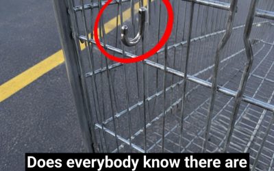 Shopping Cart Hooks: What Are They Really For?