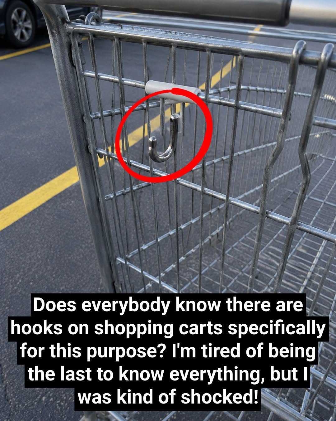 Shopping Cart Hooks: What Are They Really For?