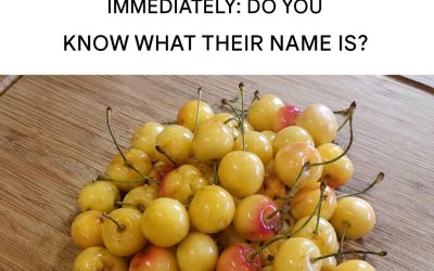 Almost Forgotten but Delicious and Full of Benefits: White Cherries
