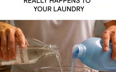 Vinegar and Fabric Softener in the Washing Machine: What Really Happens to Your Laundry