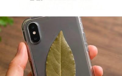 Why Did Keeping a Bay Leaf in Your Phone Case Go Viral?