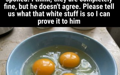 What Is That White Stuff in Eggs?